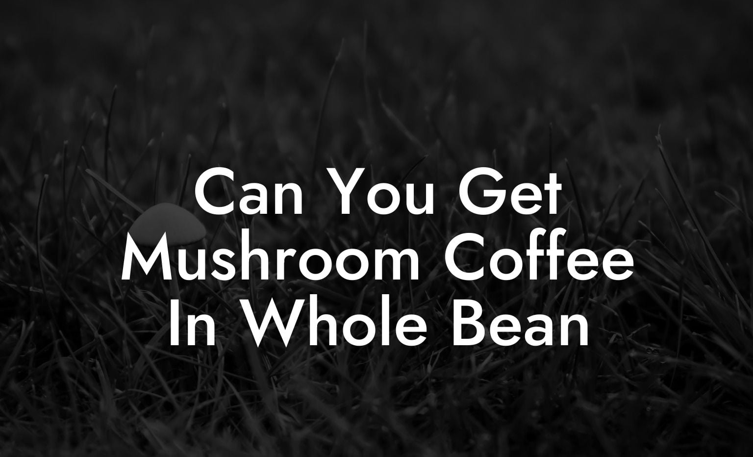 Can You Get Mushroom Coffee In Whole Bean