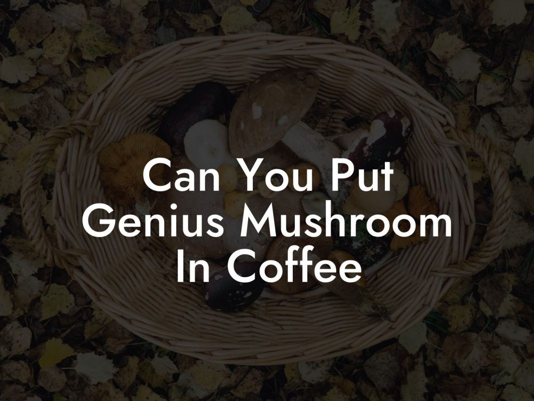 Can You Put Genius Mushroom In Coffee