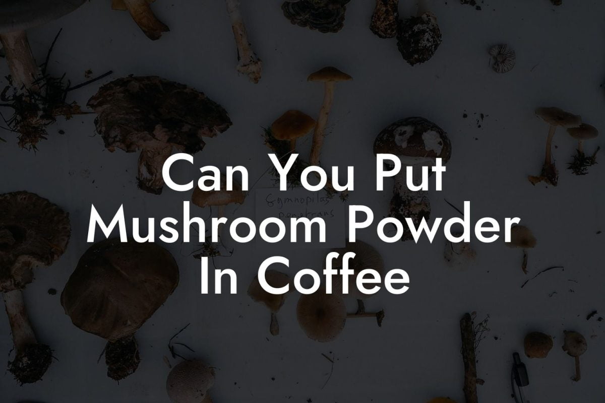 Can You Put Mushroom Powder In Coffee