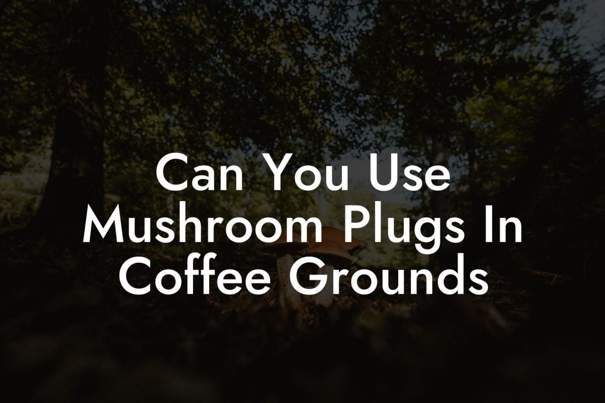 Can You Use Mushroom Plugs In Coffee Grounds