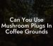 Can You Use Mushroom Plugs In Coffee Grounds