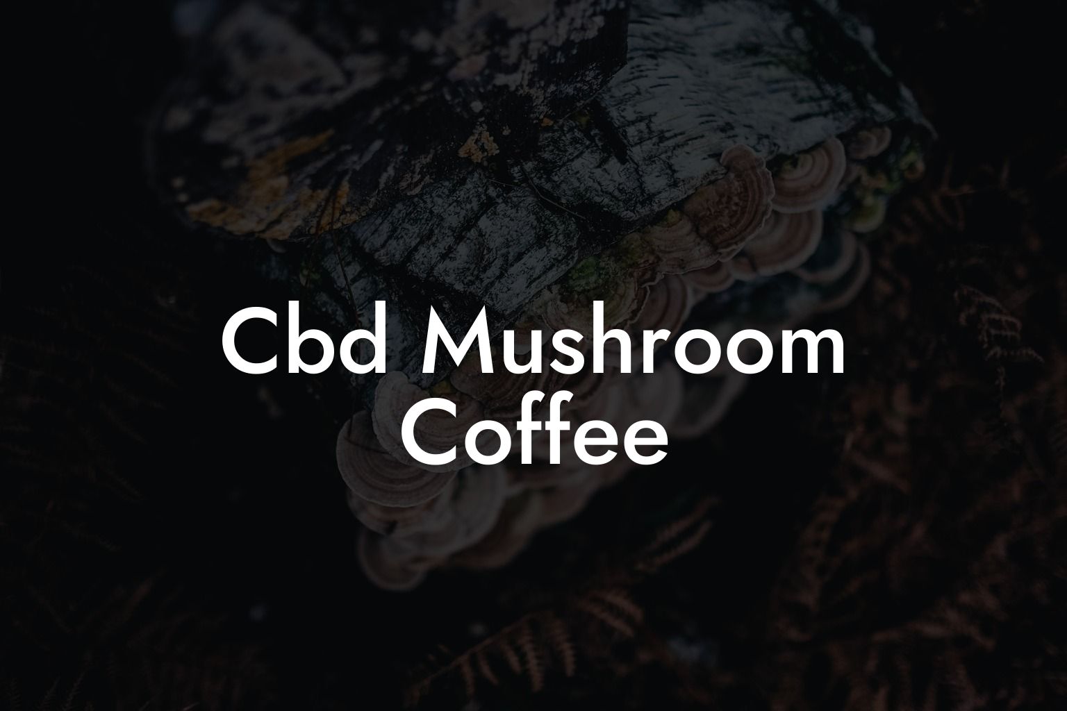 Cbd Mushroom Coffee