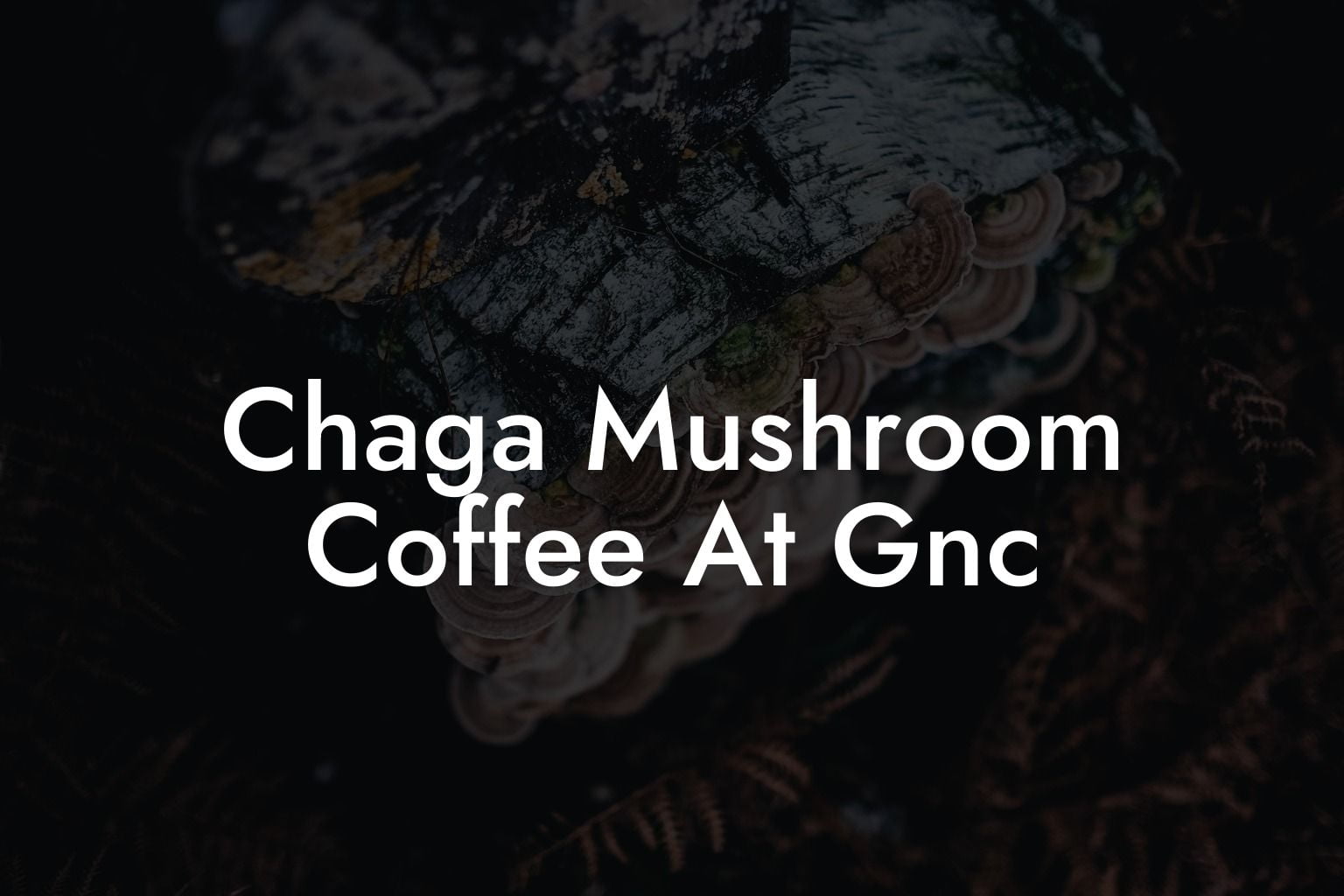 Chaga Mushroom Coffee At Gnc