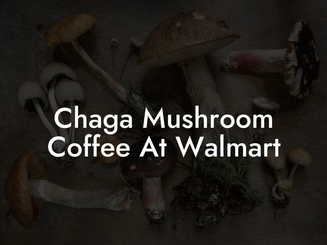 Chaga Mushroom Coffee At Walmart