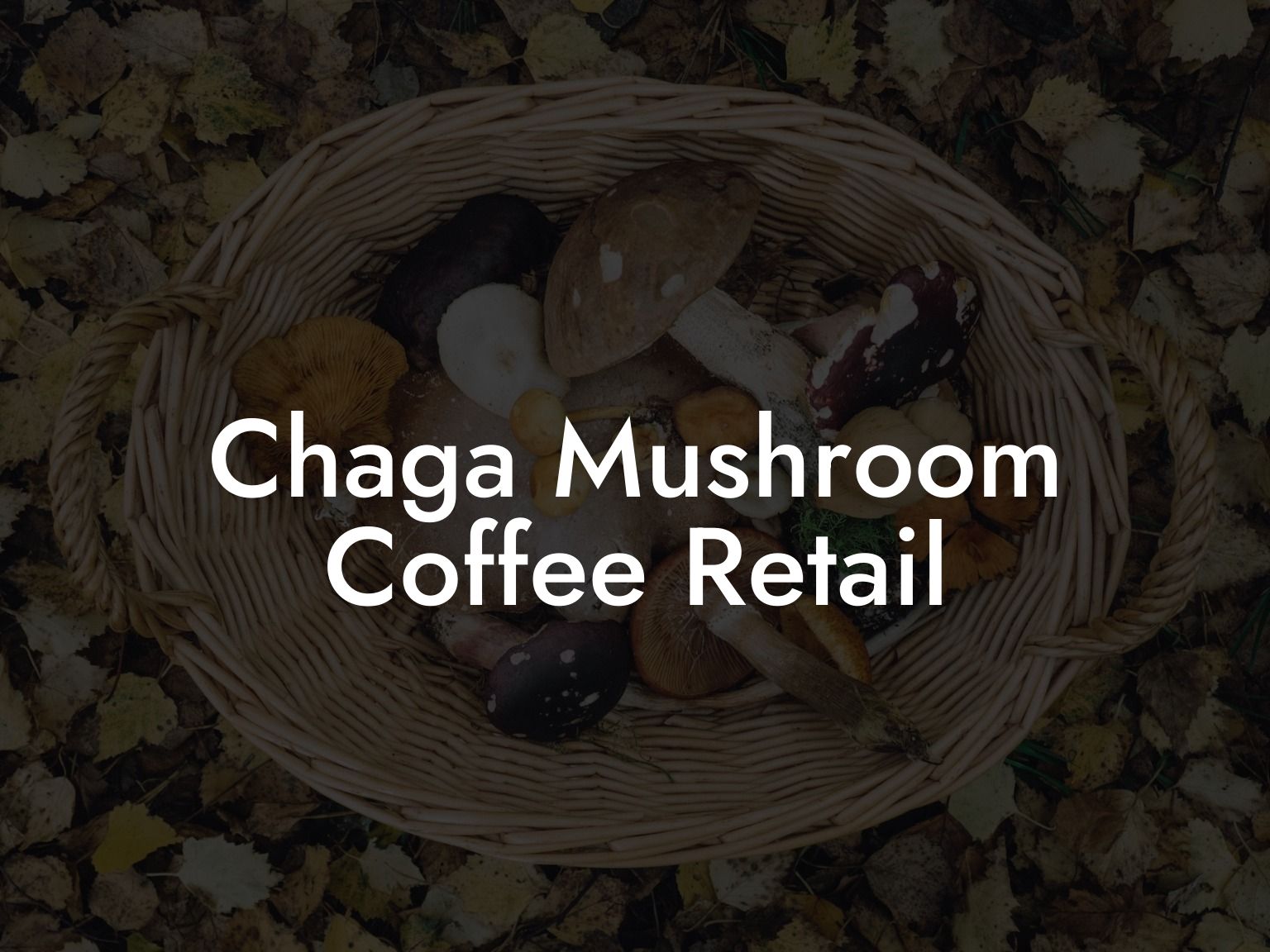 Chaga Mushroom Coffee Retail