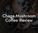 Chaga Mushroom Coffee Review