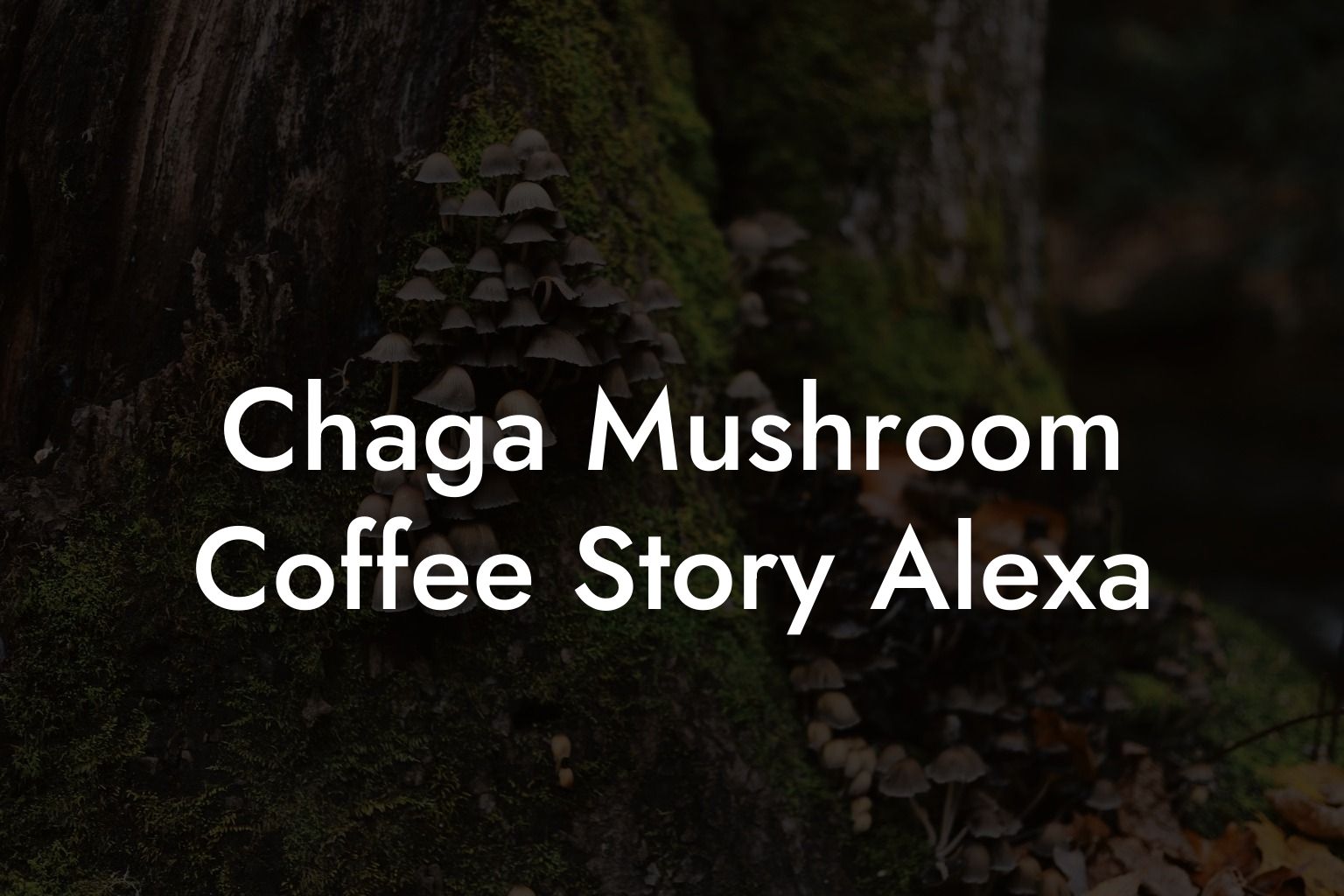Chaga Mushroom Coffee Story Alexa