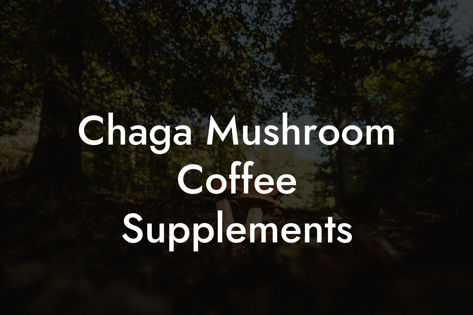 Chaga Mushroom Coffee Supplements