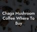 Chaga Mushroom Coffee Where To Buy