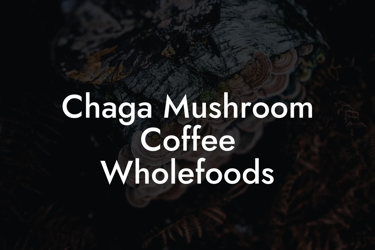 Chaga Mushroom Coffee Wholefoods