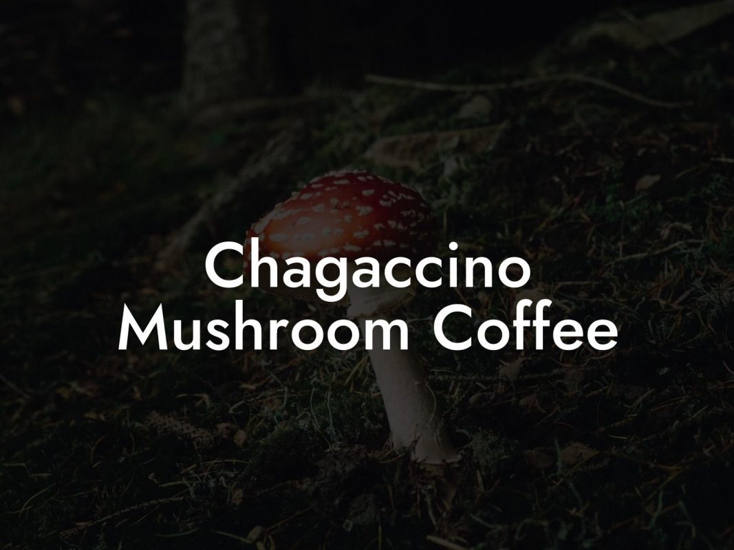 Chagaccino Mushroom Coffee