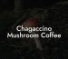 Chagaccino Mushroom Coffee