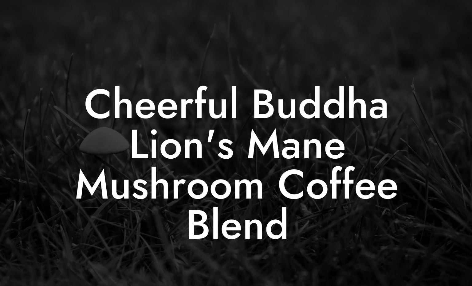 Cheerful Buddha Lion's Mane Mushroom Coffee Blend