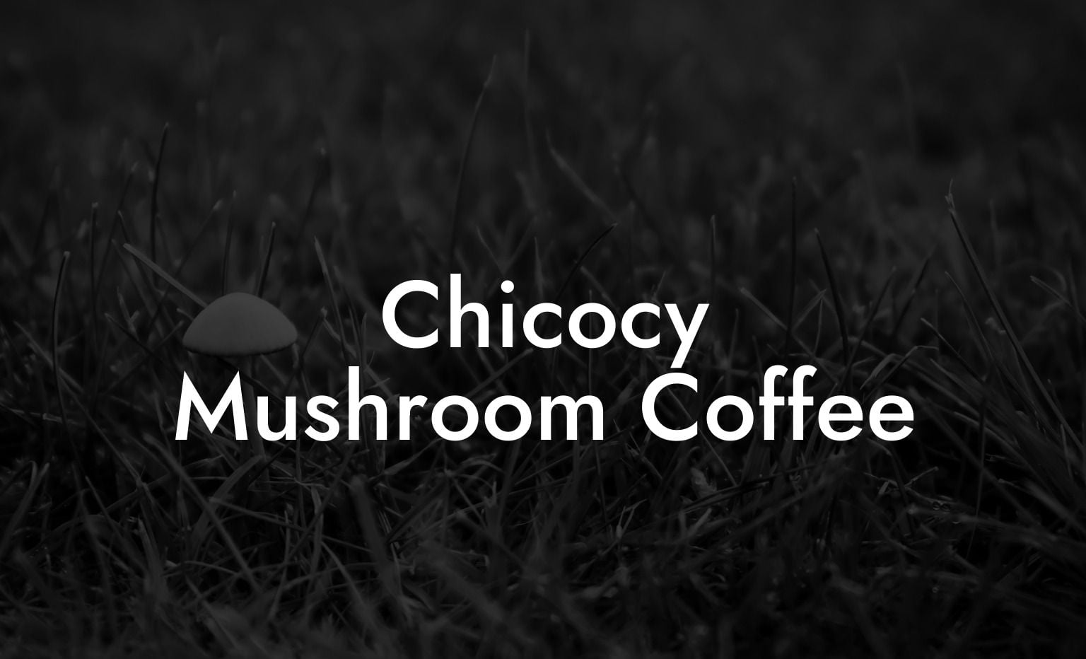 Chicocy Mushroom Coffee