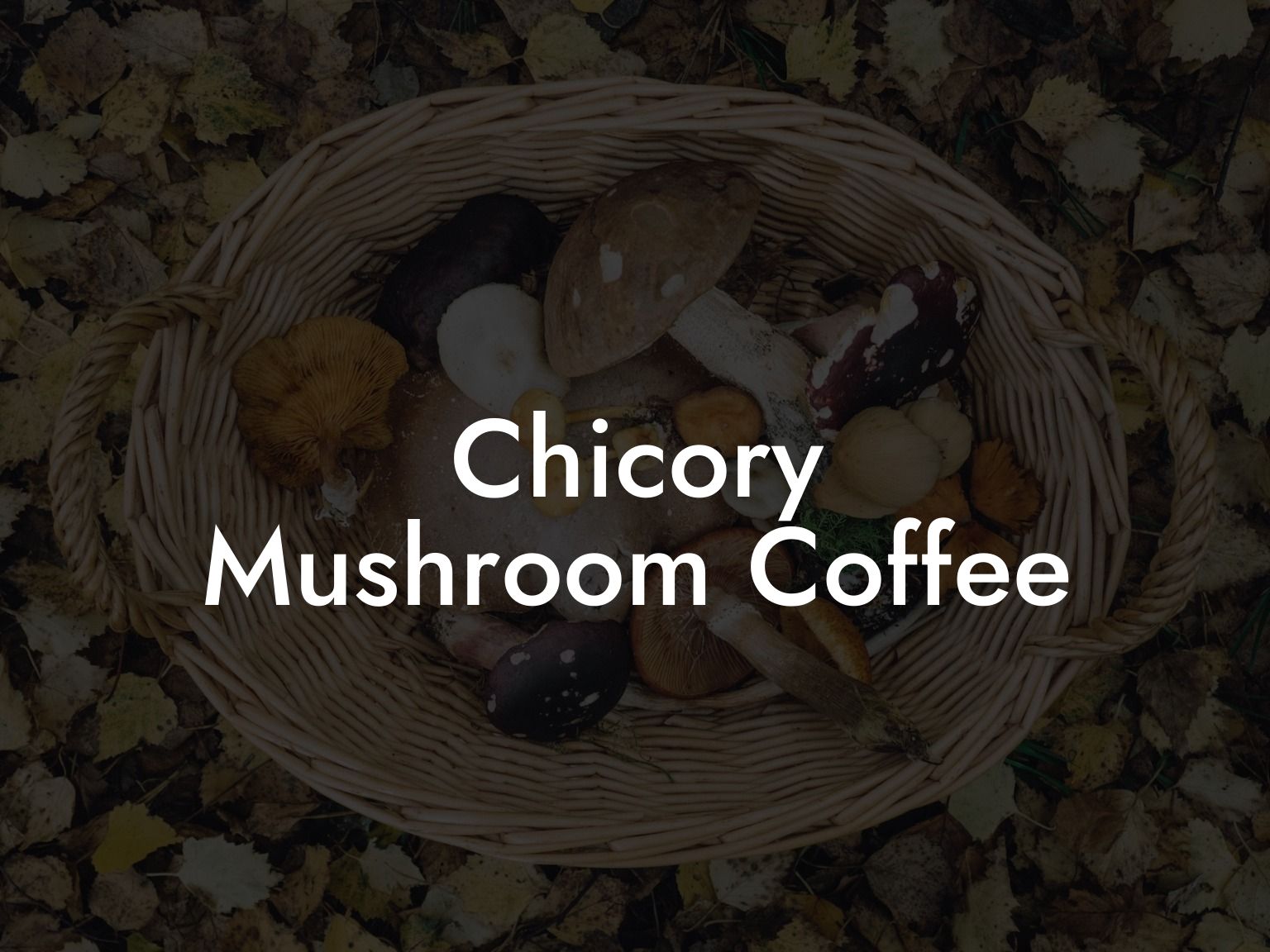 Chicory Mushroom Coffee