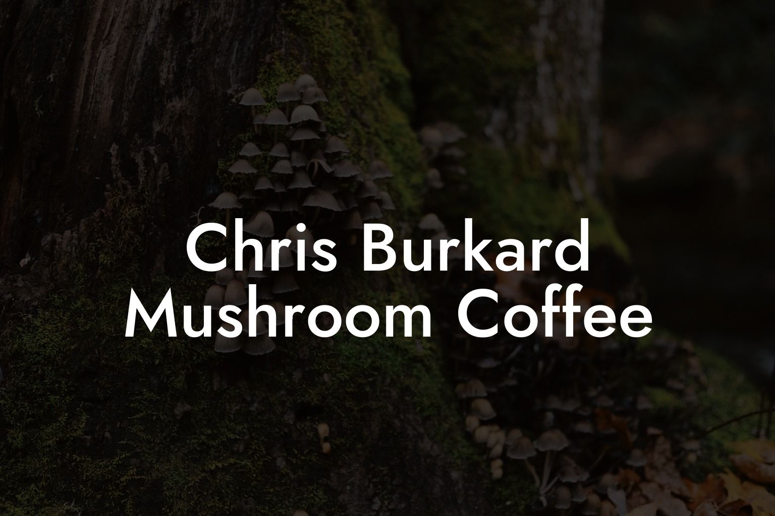 Chris Burkard Mushroom Coffee