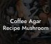 Coffee Agar Recipe Mushroom