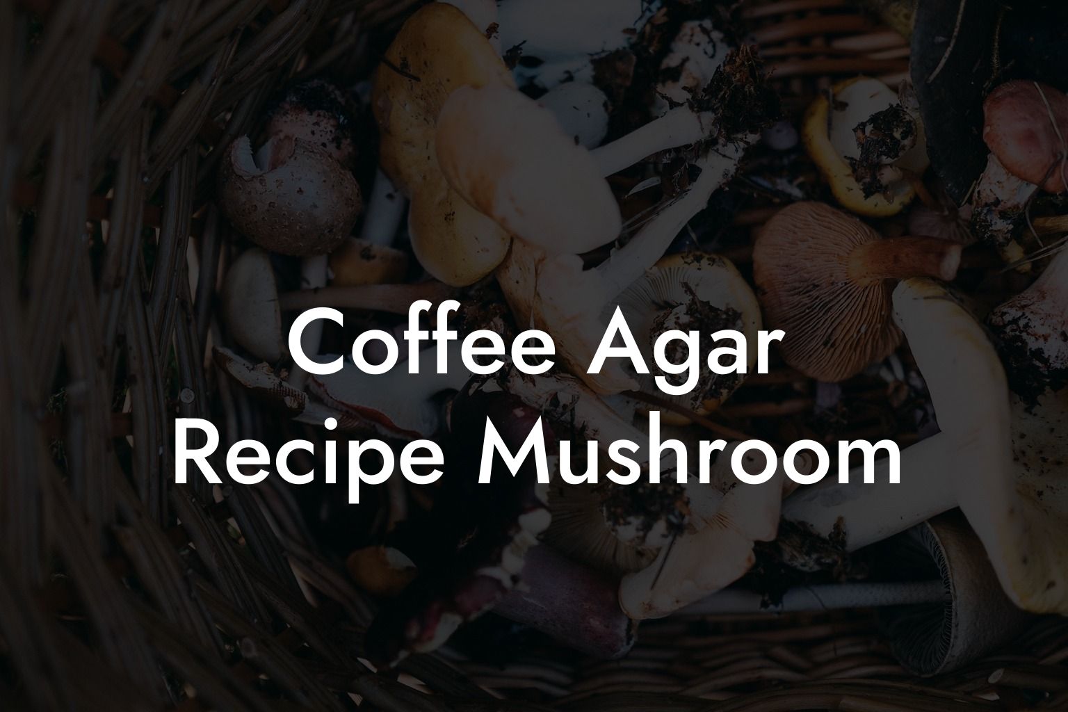 Coffee Agar Recipe Mushroom