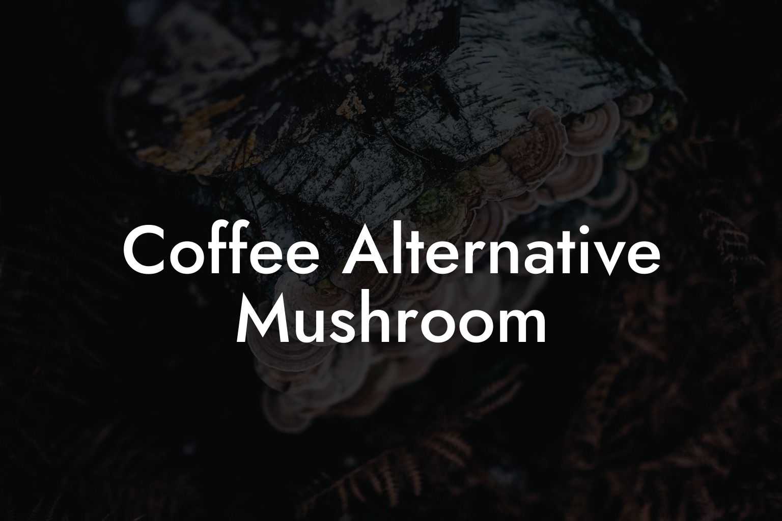 Coffee Alternative Mushroom