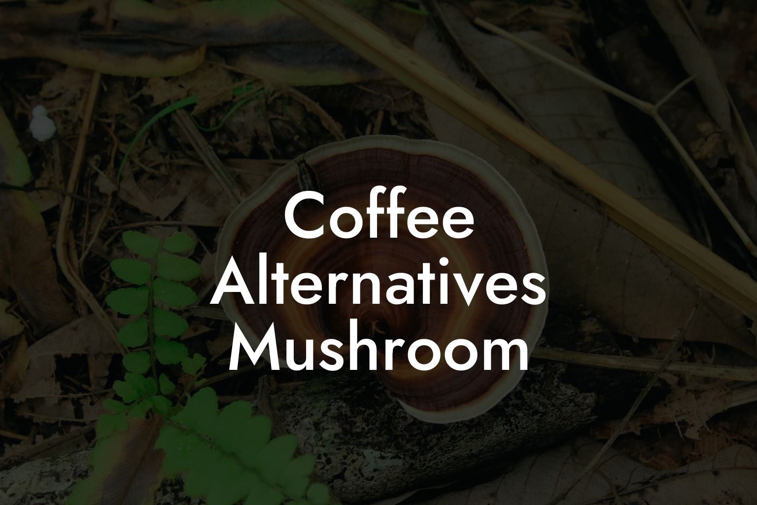 Coffee Alternatives Mushroom