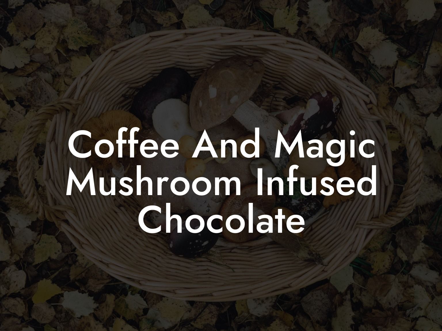 Coffee And Magic Mushroom Infused Chocolate