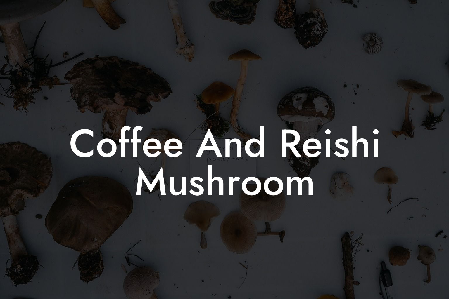 Coffee And Reishi Mushroom