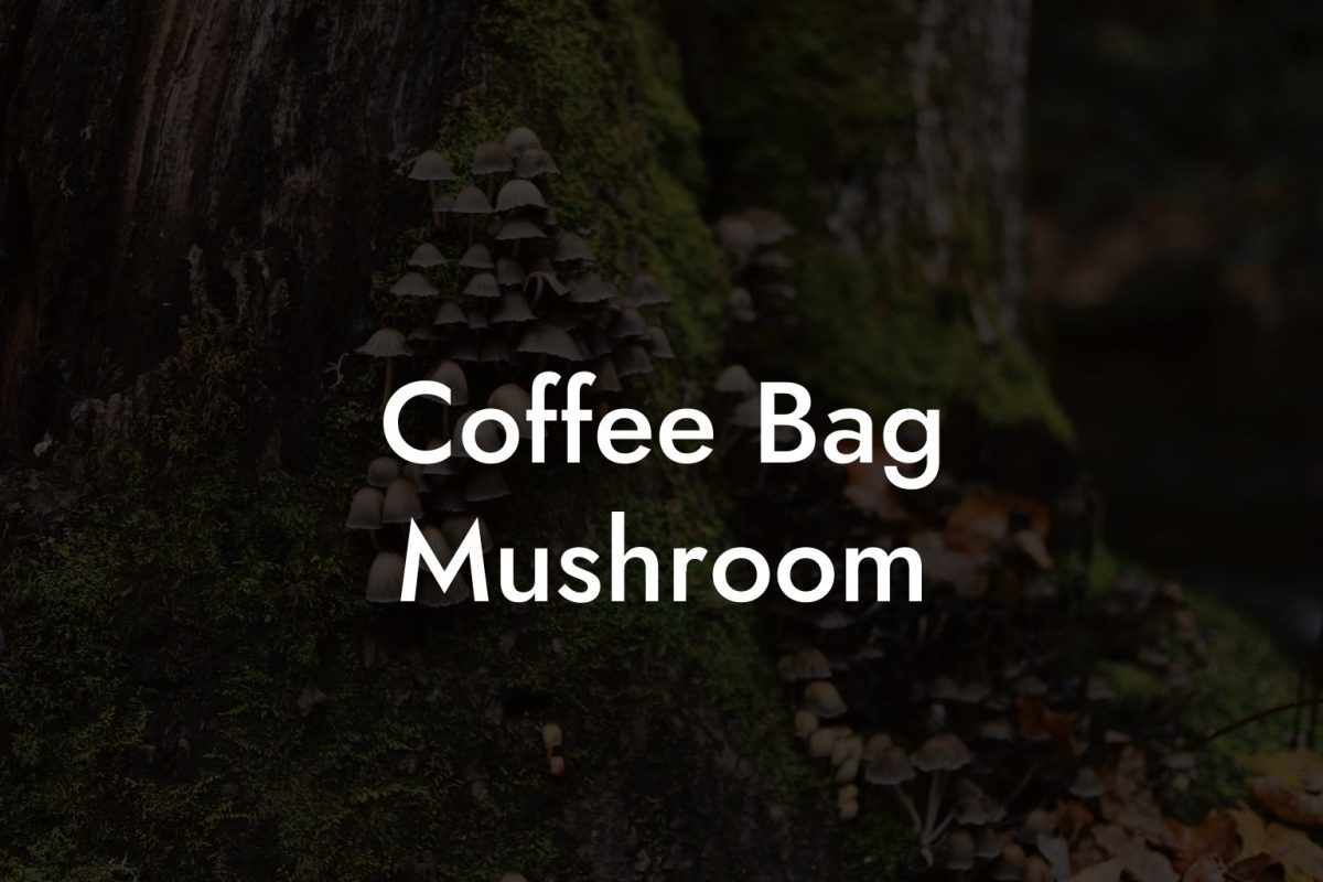 Coffee Bag Mushroom