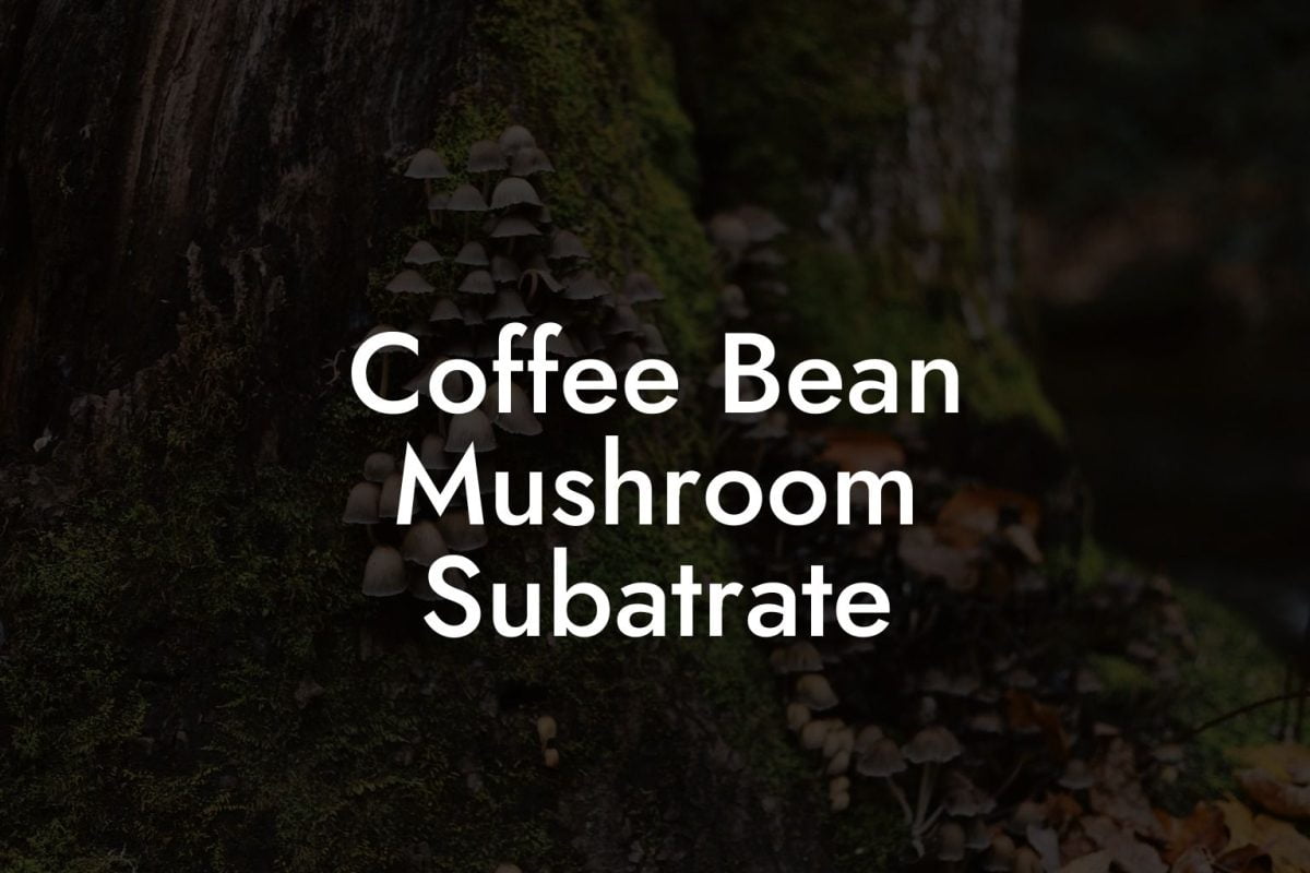 Coffee Bean Mushroom Subatrate