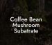 Coffee Bean Mushroom Subatrate