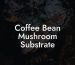 Coffee Bean Mushroom Substrate