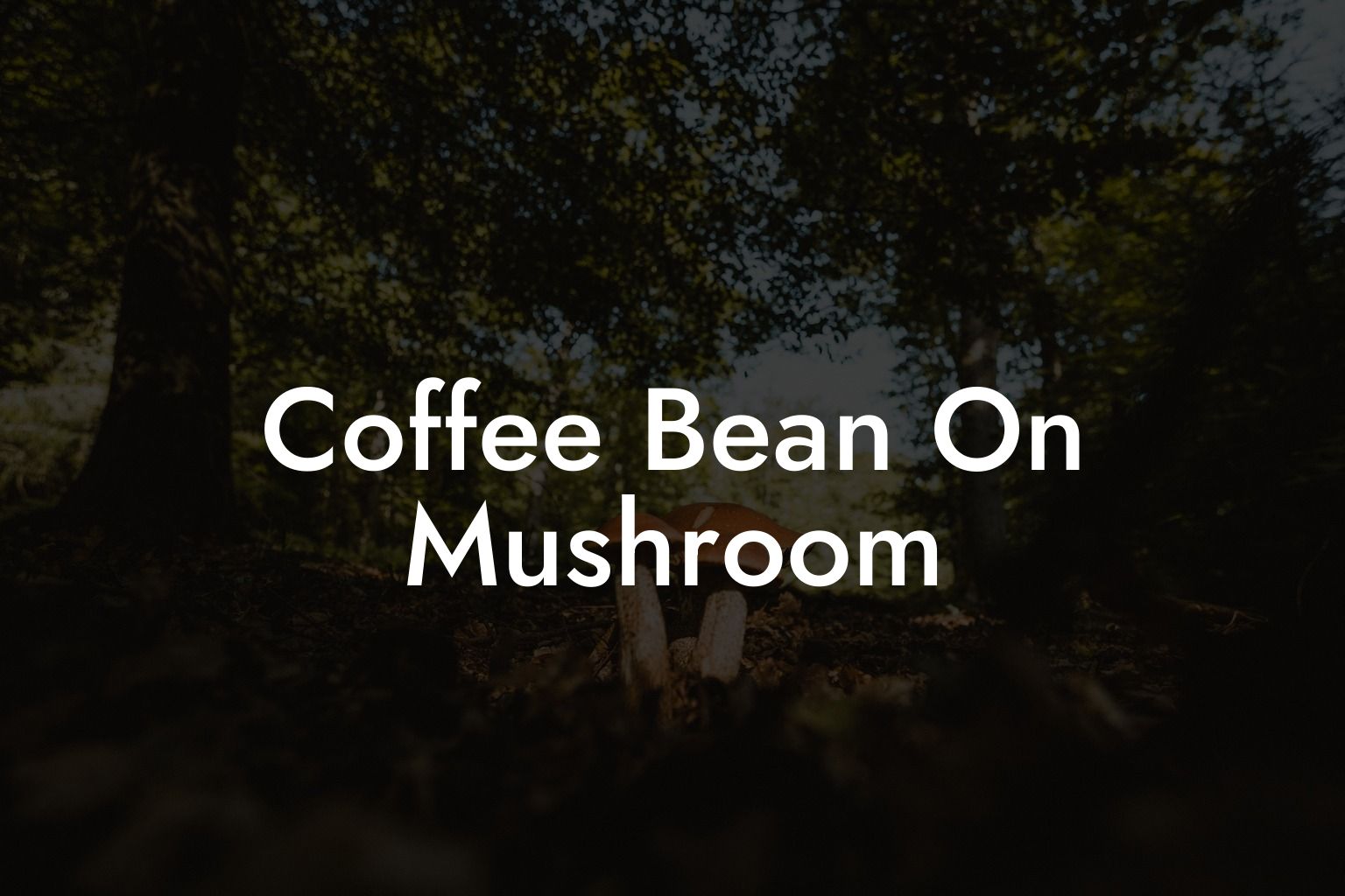 Coffee Bean On Mushroom