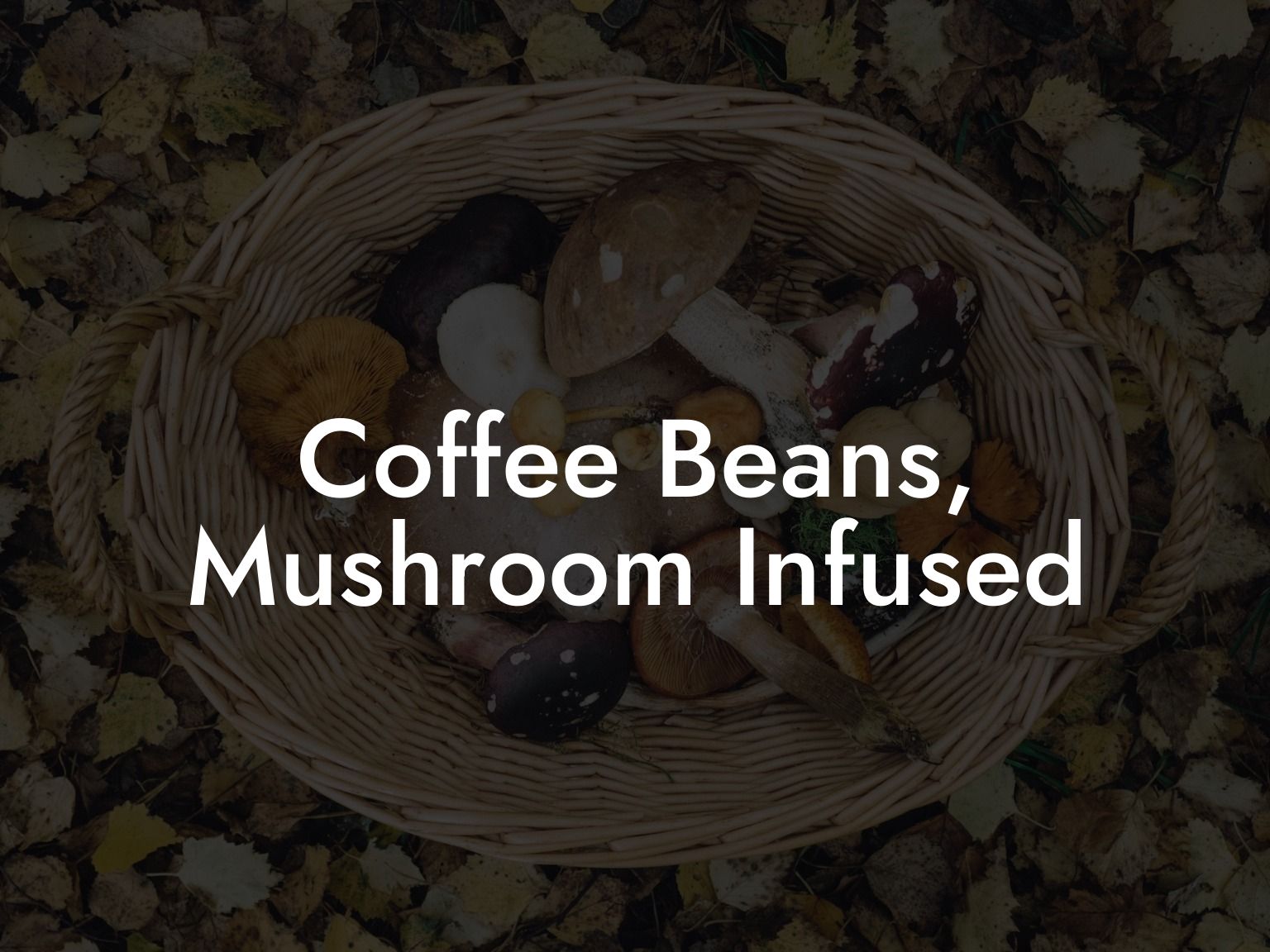 Coffee Beans Mushroom Infused
