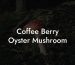 Coffee Berry Oyster Mushroom