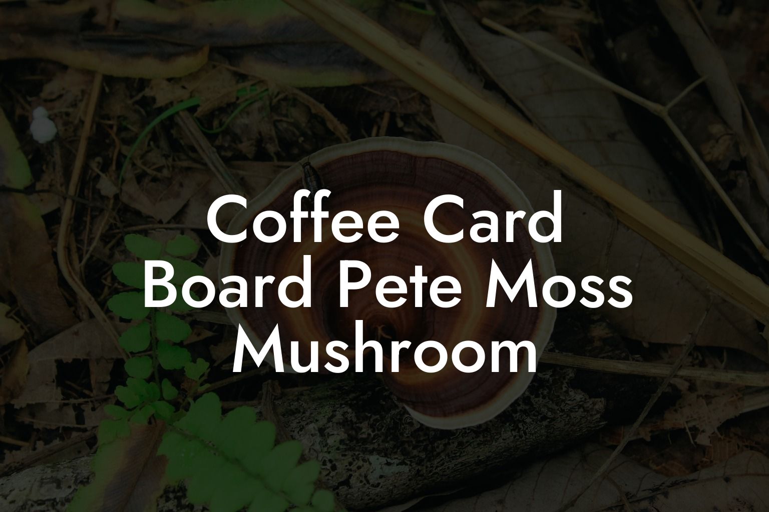 Coffee Card Board Pete Moss Mushroom
