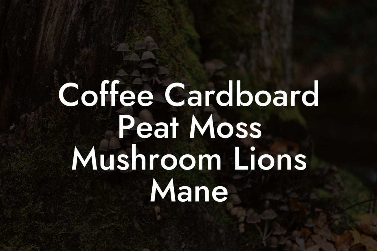 Coffee Cardboard Peat Moss Mushroom Lions Mane