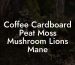 Coffee Cardboard Peat Moss Mushroom Lions Mane