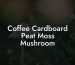 Coffee Cardboard Peat Moss Mushroom