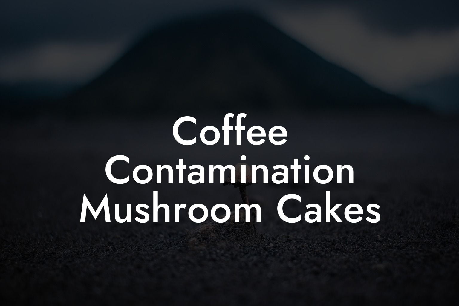 Coffee Contamination Mushroom Cakes
