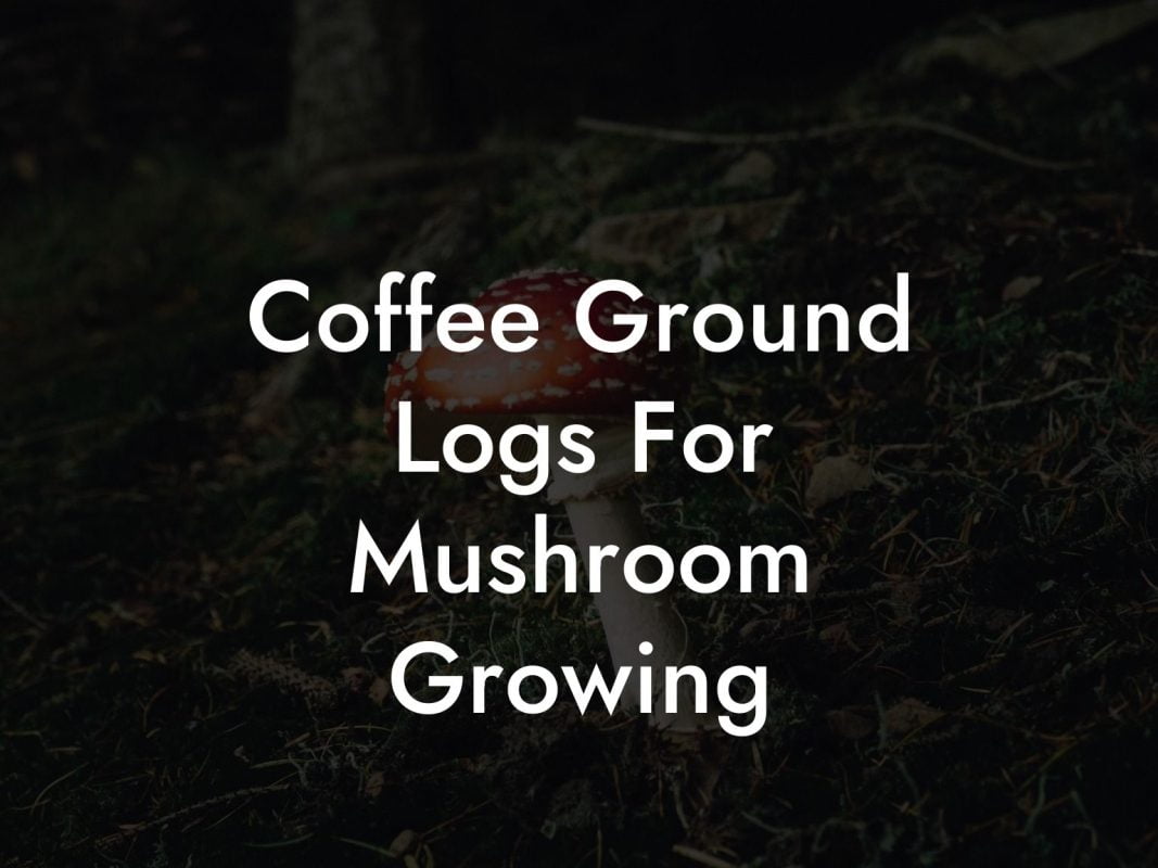 Coffee Ground Logs For Mushroom Growing