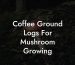 Coffee Ground Logs For Mushroom Growing