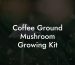 Coffee Ground Mushroom Growing Kit