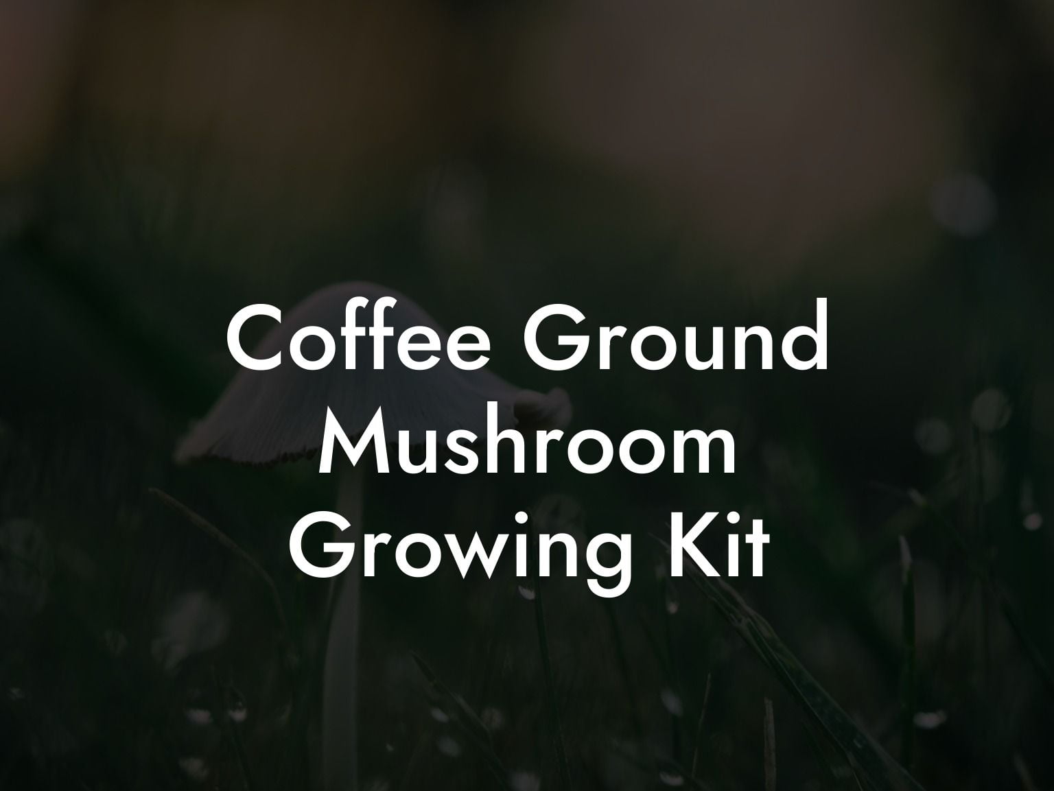 Coffee Ground Mushroom Growing Kit