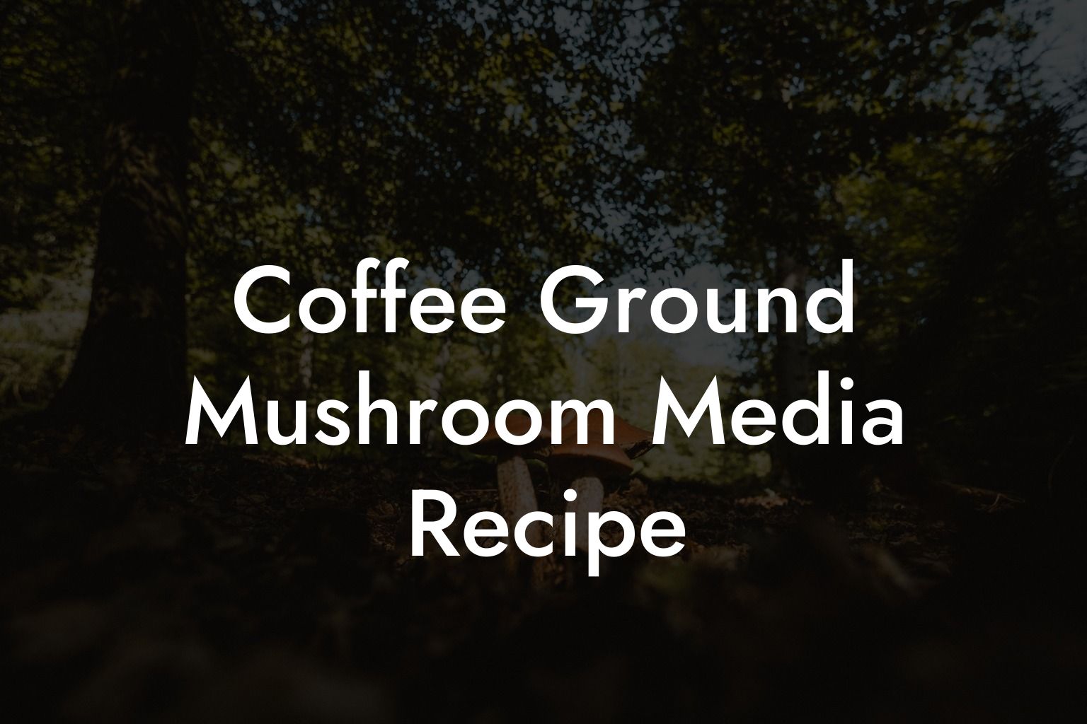 Coffee Ground Mushroom Media Recipe