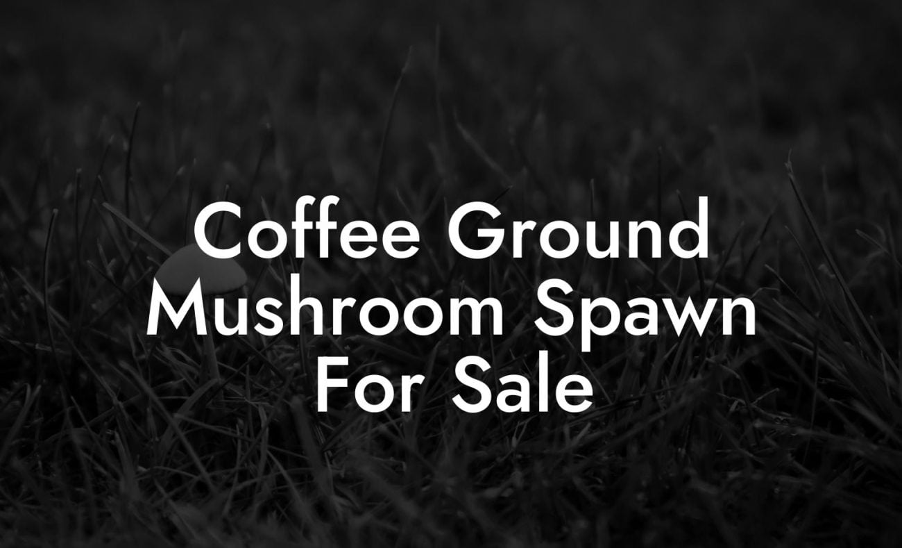 Coffee Ground Mushroom Spawn For Sale