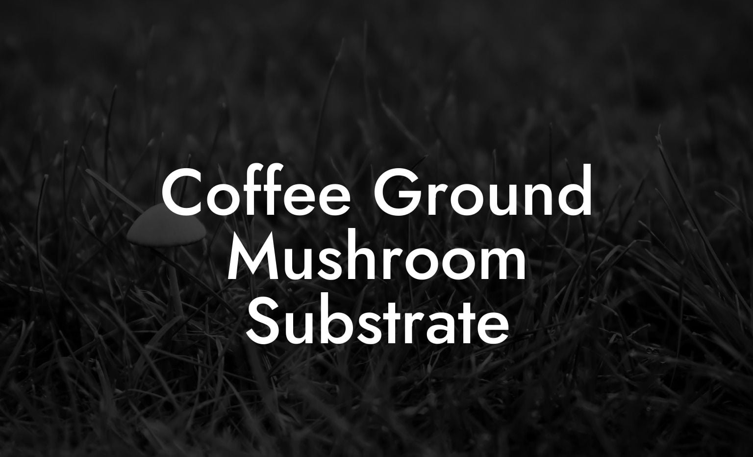 Coffee Ground Mushroom Substrate