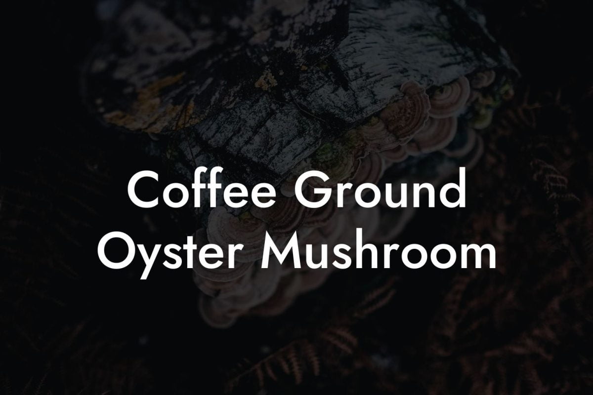 Coffee Ground Oyster Mushroom