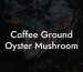 Coffee Ground Oyster Mushroom