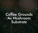Coffee Grounds As Mushroom Substrate