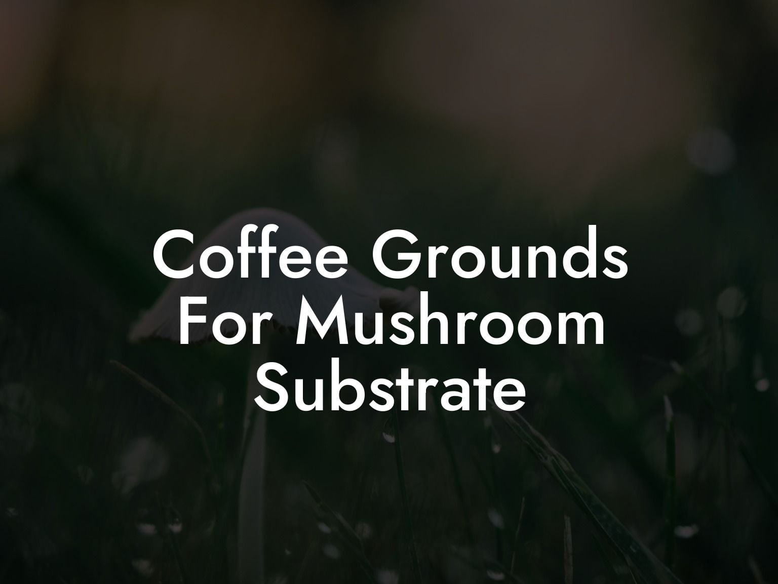 Coffee Grounds For Mushroom Substrate