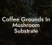 Coffee Grounds In Mushroom Substrate